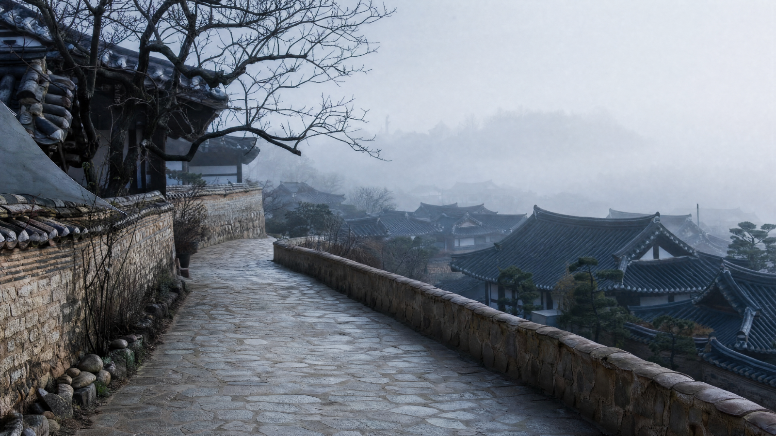 배경 11