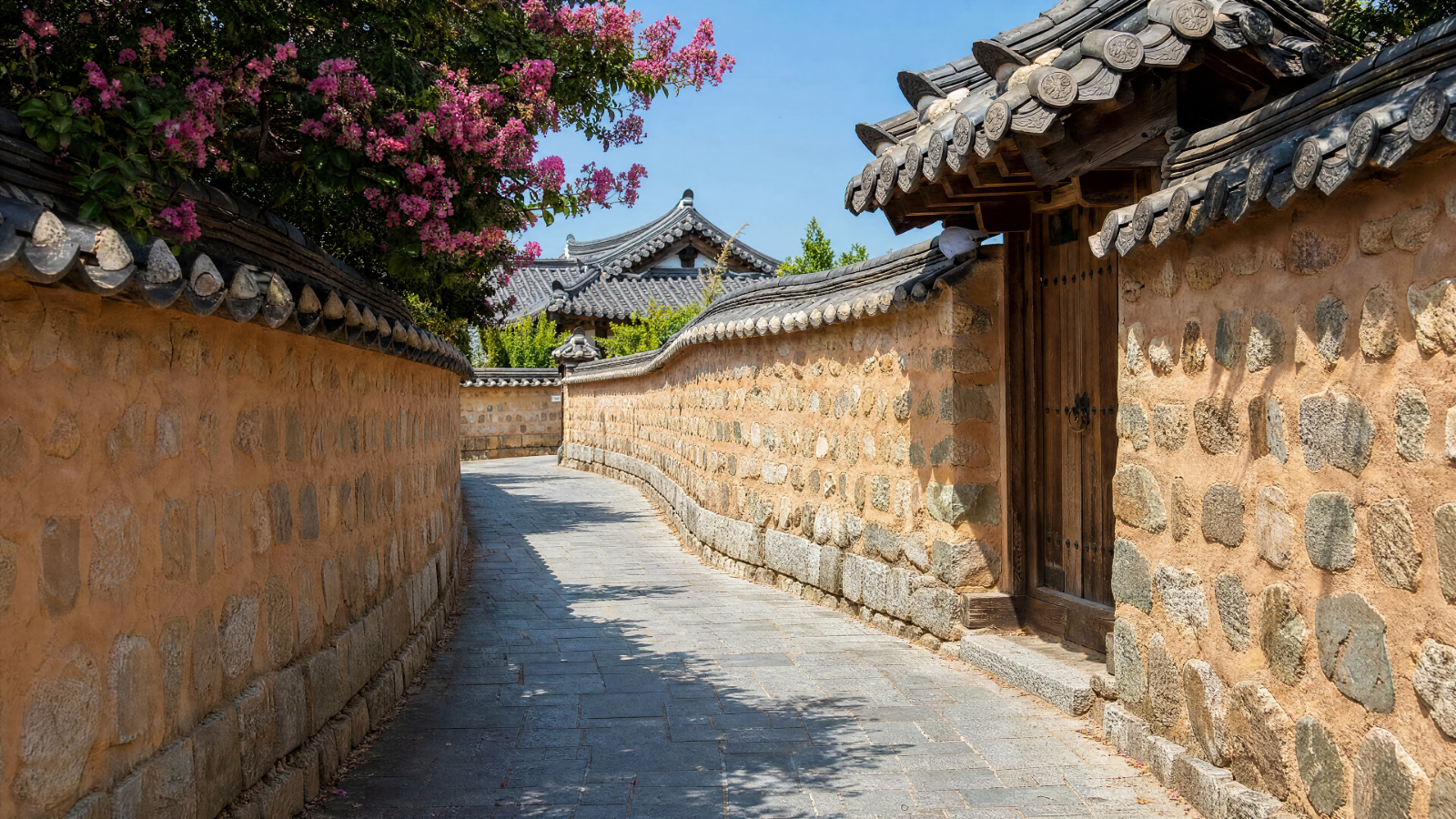 배경 5